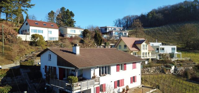 Einfamilienhaus mitten im Rebberg Einfamilienhaus mitten im Rebberg